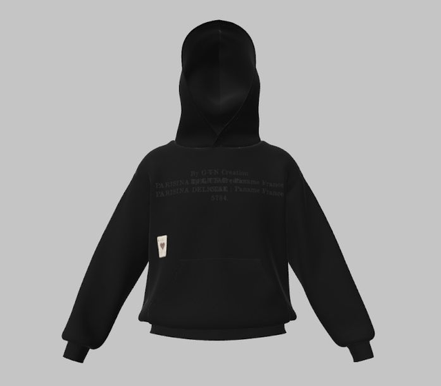 Hoodie dvn (précommande)